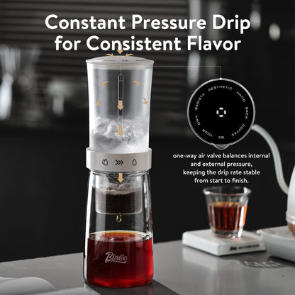Bincoo GYKF2195 Cold Brew Coffee Maker 450ml-Bincoo High Borosilicate Glass Ice Drip Coffee Brewer,Adjustable Dual-Outlet Drip Speed, Constant Pressure Brewing