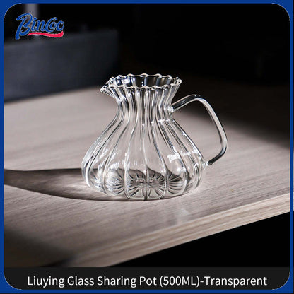 BINCOO Coffee Glass Pour-Over Kettle V60 Glass Filter Set for Home Office and Outdoor 500ML/650ML