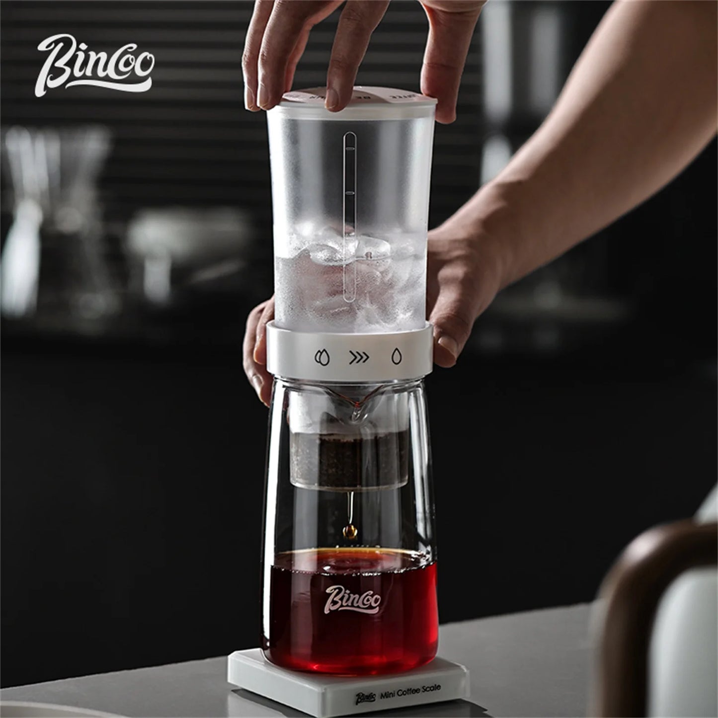Bincoo 450ml Ice Drip Cold Brew Coffee Maker, Portable Iced Coffee Pot, Removable for Cleaning, Camping & Home Use