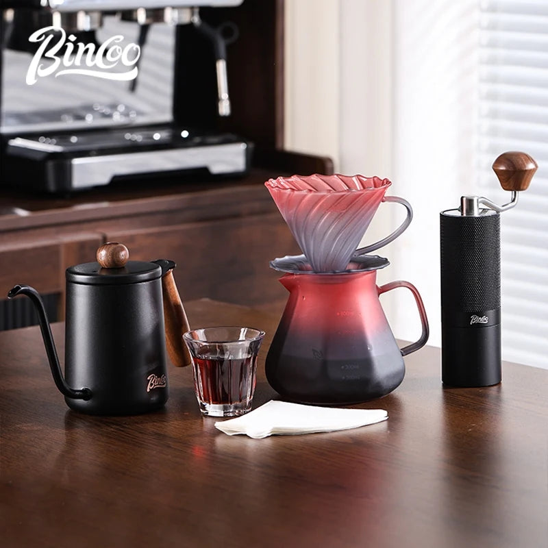 BINCOO Blackberry Hand Brew Coffee Pot Set V60 Filter Glass Sharing Pot Home Coffee Brewing Utensils