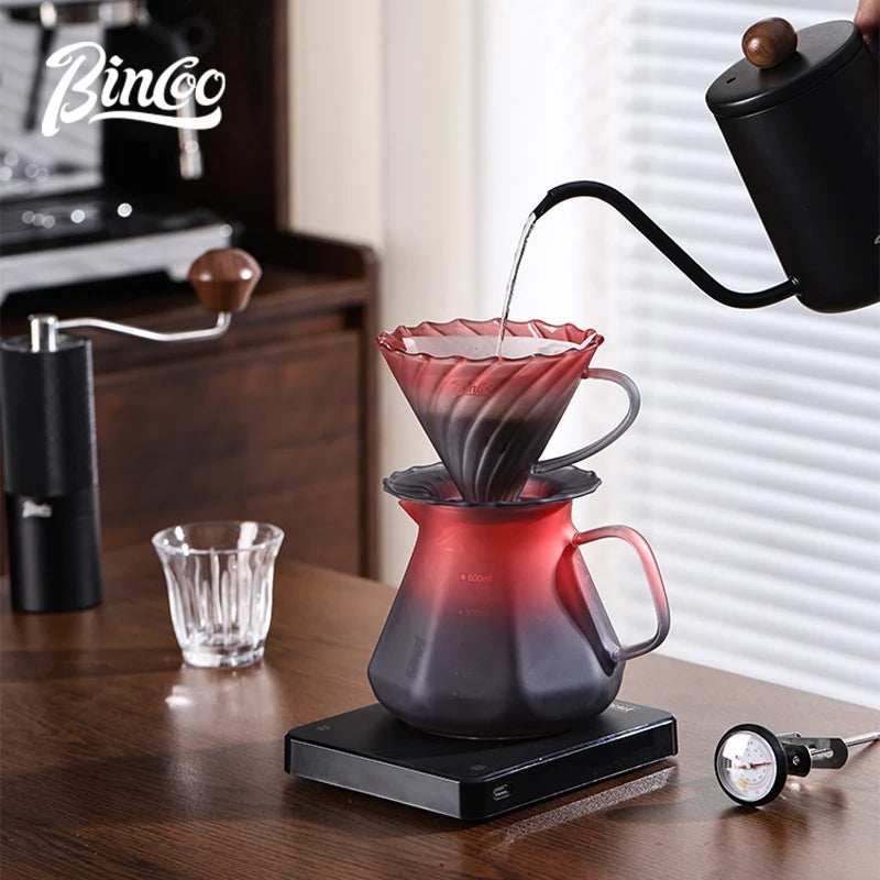BINCOO Blackberry Hand Brew Coffee Pot Set V60 Filter Glass Sharing Pot Home Coffee Brewing Utensils