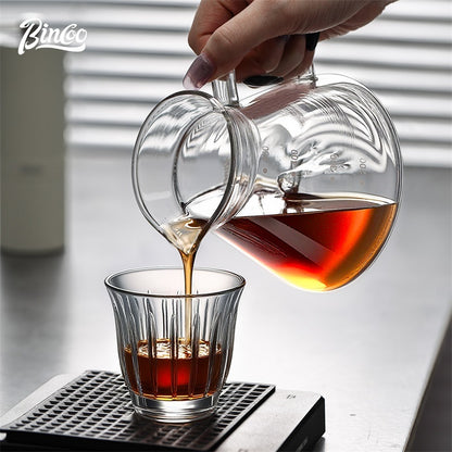 BINCOO Glass Coffee Pot Heat-Resistant Pour-Over Dripper Set with Glass Filter Cup Coffee Brewing Set 450ML
