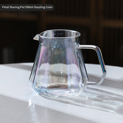 BINCOO Coffee Hand Brewing Pot Set Cake Filter Cup Glass Sharing Pot  for Home Office and Outdoor 500ML