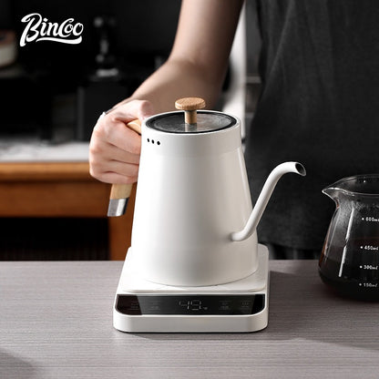 BINCOO Electric Kettle Intelligent Temperature Controlled for Home and Office Large Capacity 800ML