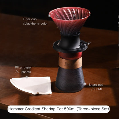 BINCOO Coffee Hand Brewer Filter Cup Set Coffee Sharing Pot Glass Filter Drip Coffee Utensils 500ML