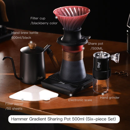 BINCOO Coffee Hand Brewer Filter Cup Set Coffee Sharing Pot Glass Filter Drip Coffee Utensils 500ML