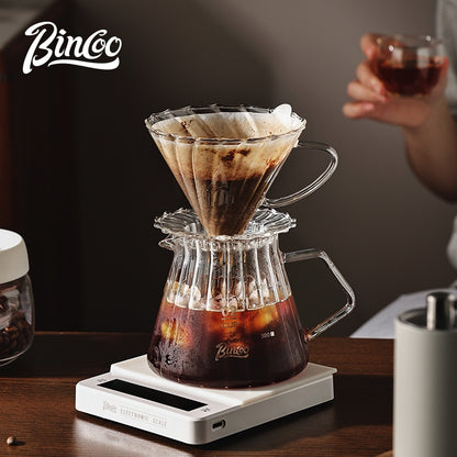 BINCOO Hand Brewing Coffee Pot Set Coffee Sharing Pot With Filter Cup Hand Grinder Coffee Utensils Complete Set 600ML