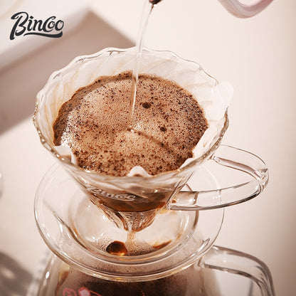 BINCOO Glass Coffee Sharing Pot with V60 Filter Cup Hand Brewed Coffee Set for Home Office 500ML
