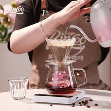 BINCOO Glass Coffee Sharing Pot with V60 Filter Cup Hand Brewed Coffee Set for Home Office 500ML