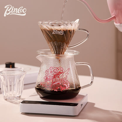 BINCOO Glass Coffee Sharing Pot with V60 Filter Cup Hand Brewed Coffee Set for Home Office 500ML