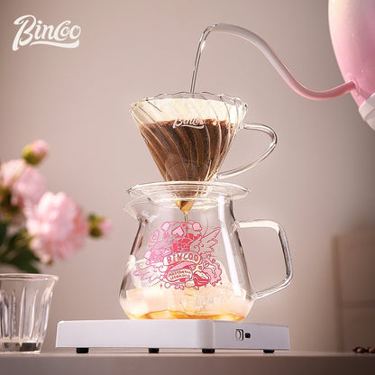 BINCOO Glass Coffee Sharing Pot with V60 Filter Cup Hand Brewed Coffee Set for Home Office 500ML