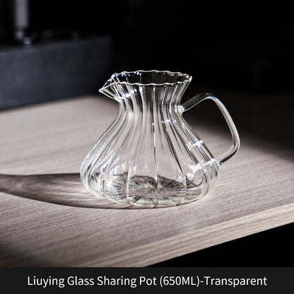 BINCOO Coffee Glass Pour-Over Kettle V60 Glass Filter Set for Home Office and Outdoor 500ML/650ML