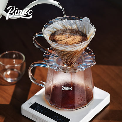 BINCOO Hand-Drip Coffee Filter Set V60 Filter High-Borosilicate Glass Heat-Resistant Coffee Server Set with Digital Scale