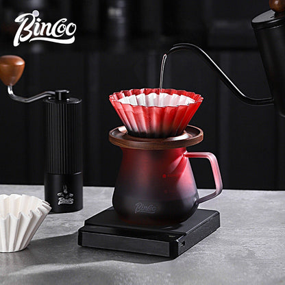 BINCOO Hand Brew Coffee Set with V60 Glass Dripper Coffee Server & Manual Grinder Drip Style Home Coffee Kit