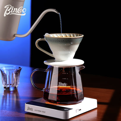 BINCOO Pour Over Coffee Set with Stainless Steel Gooseneck Kettle Glass Server & Ceramic Dripper Ideal for Home & Office Use