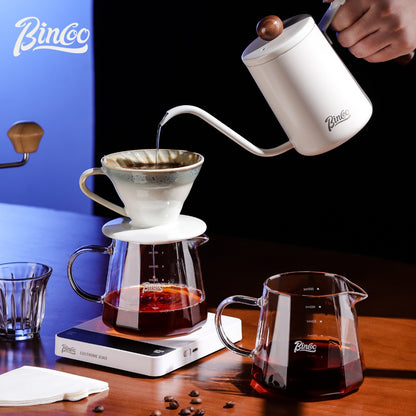 BINCOO Pour Over Coffee Set with Stainless Steel Gooseneck Kettle Glass Server & Ceramic Dripper Ideal for Home & Office Use