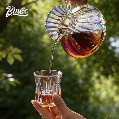 BINCOO V60 Hand Drip Coffee Dripper High‑Borosilicate Glass Server Coffee Brewing Tool Set 450ML/550ML
