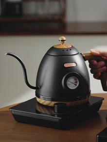 BINCOO Constant Temperature Electric Kettle Hand Brewed Coffee Pot Anti Dry Burning Intelligent Power-off Heating Pot Household