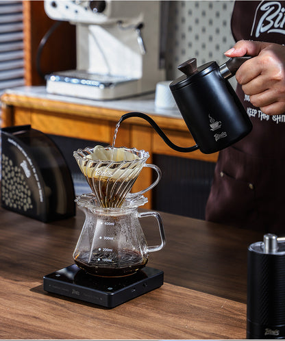 Bincoo Gooseneck Pour Over Coffee Kettle - Stainless Steel Hand Drip Pot with Wooden Handle, Precise Water Control Spout for Home Brewing